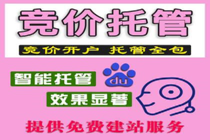 竞价推广实战：案例分析行业领军企业的成功之道