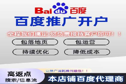 成功企业SEM竞价代运营案例研究